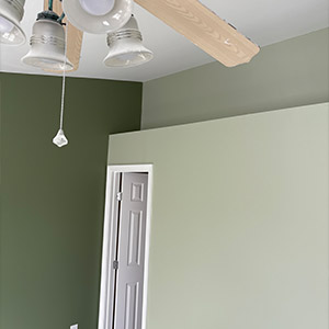 Painting Abingdon MD